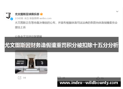 尤文图斯因财务造假遭重罚积分被扣除十五分分析