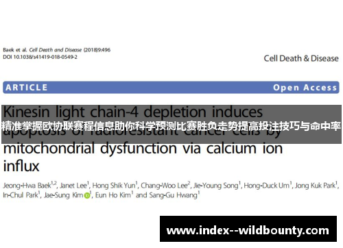 精准掌握欧协联赛程信息助你科学预测比赛胜负走势提高投注技巧与命中率